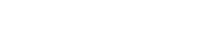 viva wallet logo